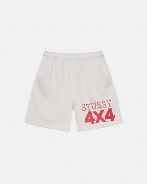 Stussy 4X4 Mesh Kısa Şort Kadın Bej Rengi Türkiye | XOR-3903