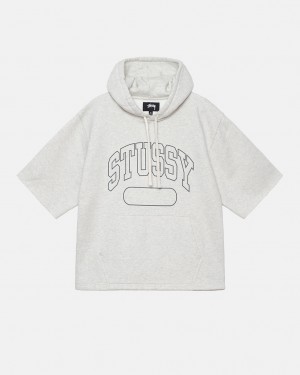 Stussy Ss Boxy Cropped Hoodie Erkek Gri Türkiye | XYR-6473