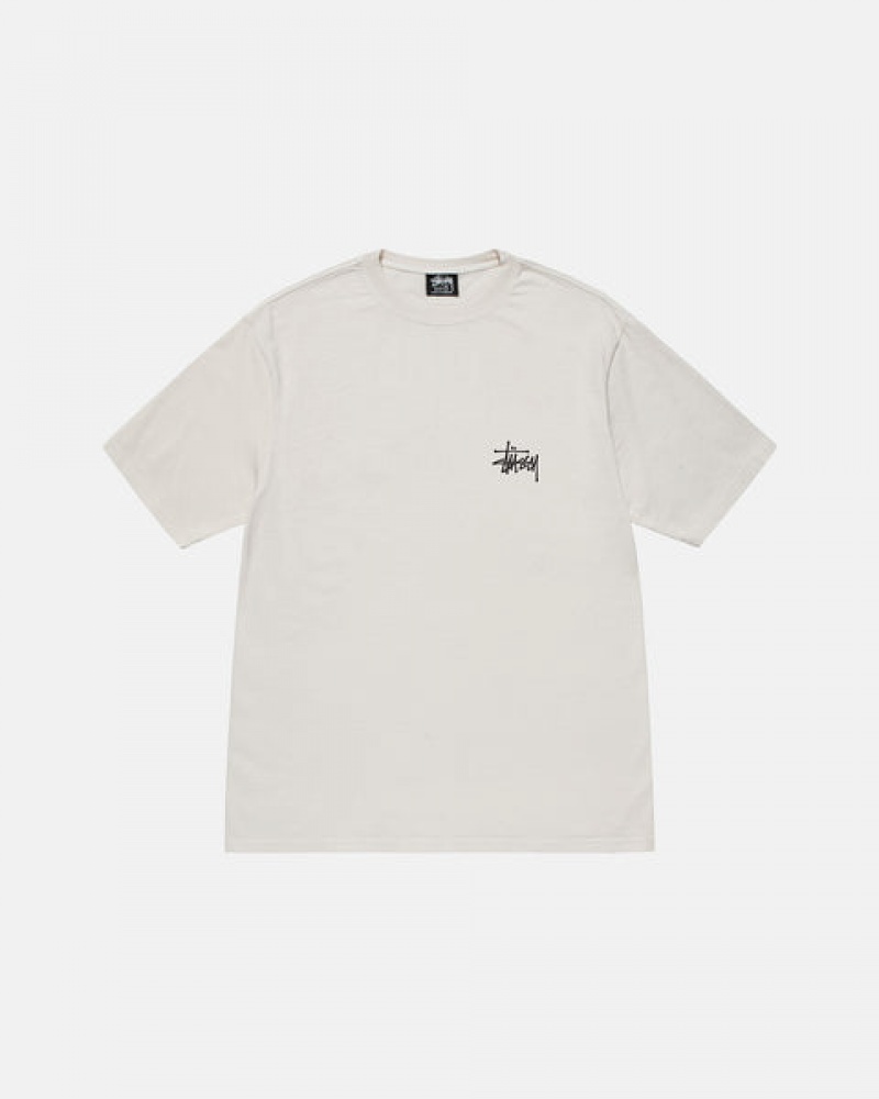 Stussy Basic Stussy Tee T shirt Kadın Bej Rengi Türkiye | QTG-5958