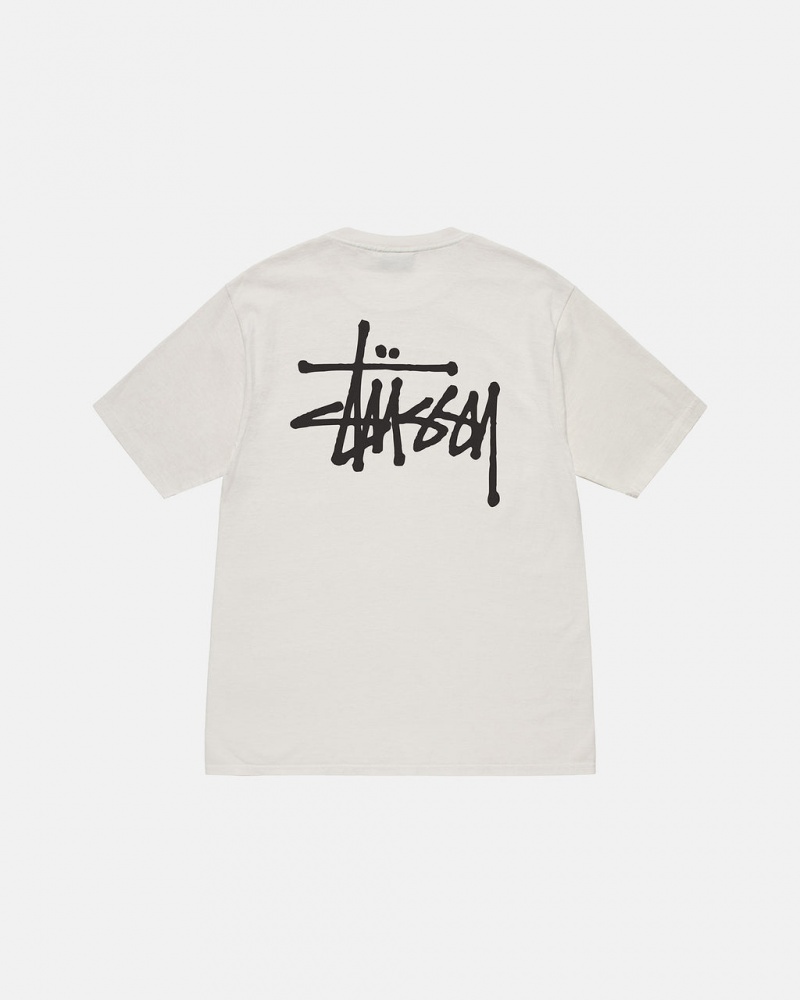 Stussy Basic Stussy Tee T shirt Kadın Bej Rengi Türkiye | QTG-5958