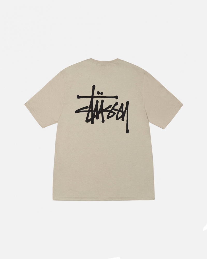 Stussy Basic Stussy Tee T shirt Kadın Haki Türkiye | IQL-8351