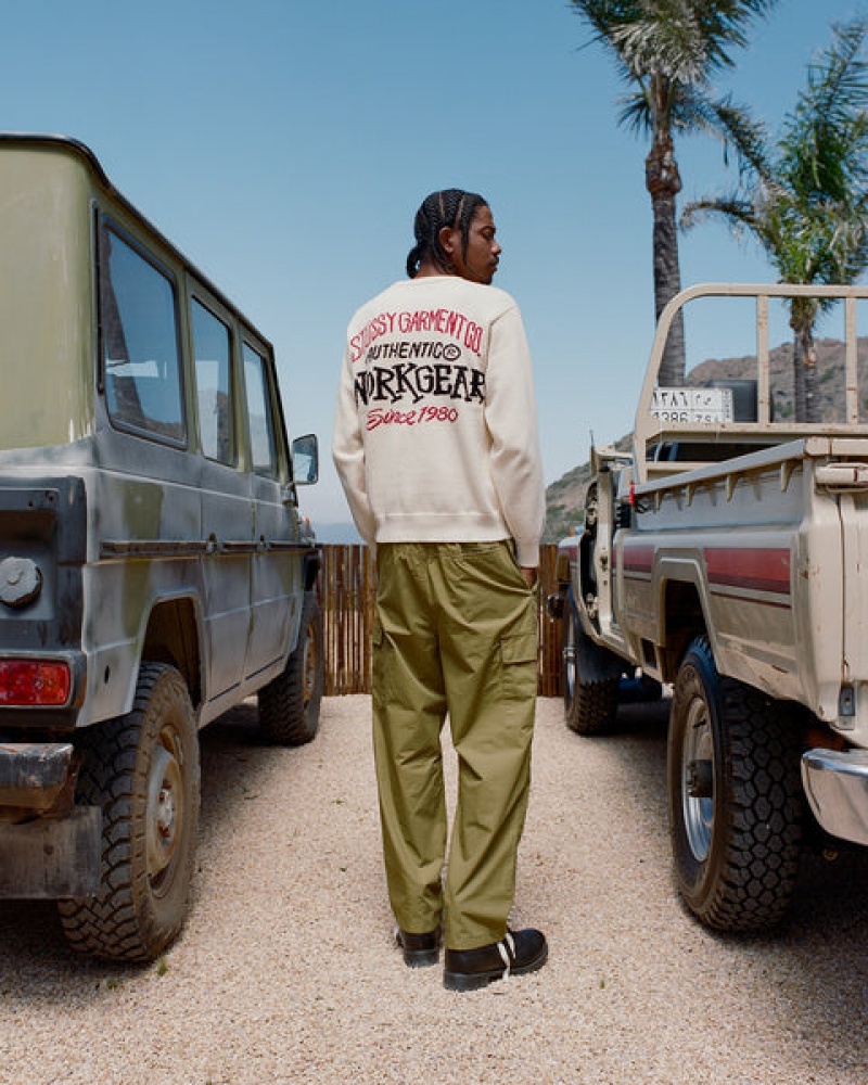 Stussy Beach Pant Ripstop Cargo Pantolon Erkek Kahverengi Türkiye | OOT-2344