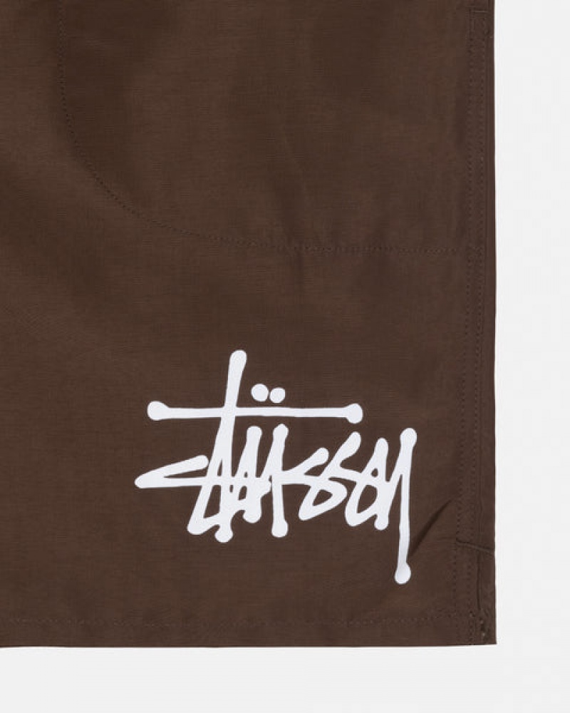 Stussy Big Basic Su Kısa Mayo Kadın Kahve Türkiye | JPX-6560