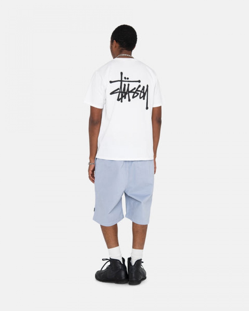 Stussy Brushed Beach Kısa Şort Erkek Mavi Türkiye | XNX-1811