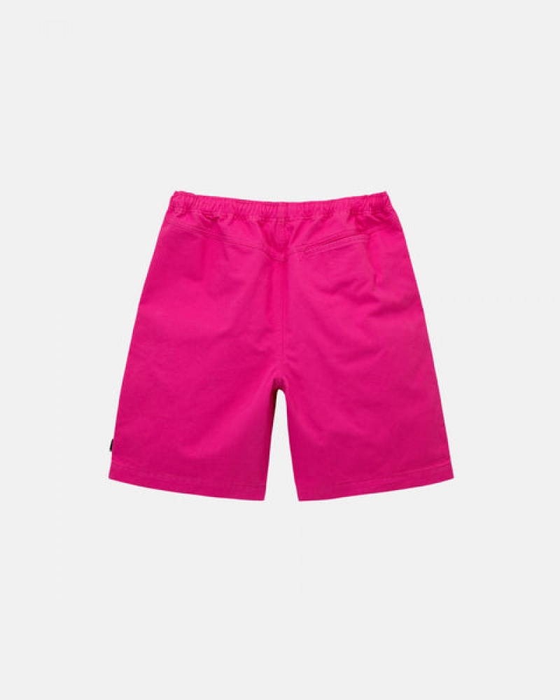 Stussy Brushed Beach Kısa Şort Erkek Pembe Türkiye | VPW-4687