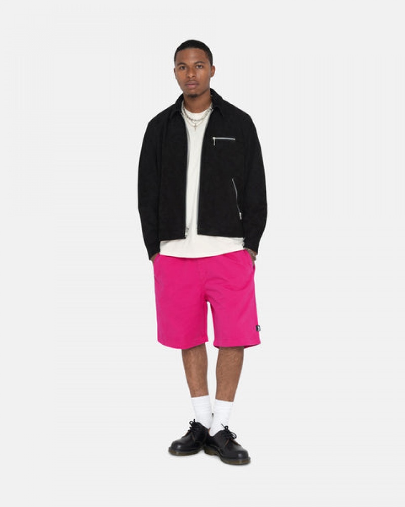 Stussy Brushed Beach Kısa Şort Erkek Pembe Türkiye | VPW-4687