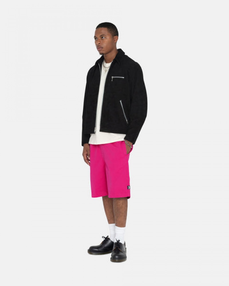 Stussy Brushed Beach Kısa Şort Erkek Pembe Türkiye | VPW-4687