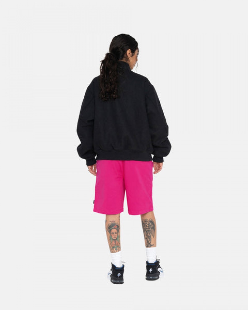 Stussy Brushed Beach Kısa Şort Erkek Pembe Türkiye | VPW-4687