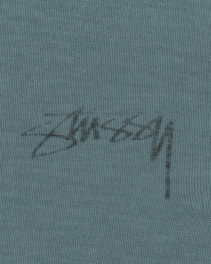 Stussy Lazy Ls Tee T shirt Erkek Turkuaz Türkiye | QTC-2387