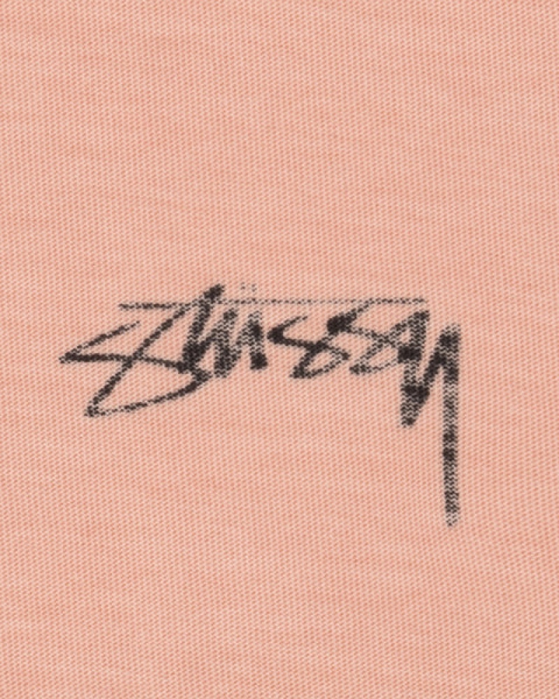 Stussy Lazy Ls Tee Üstler Erkek Açık Pembe Türkiye | WAI-8711