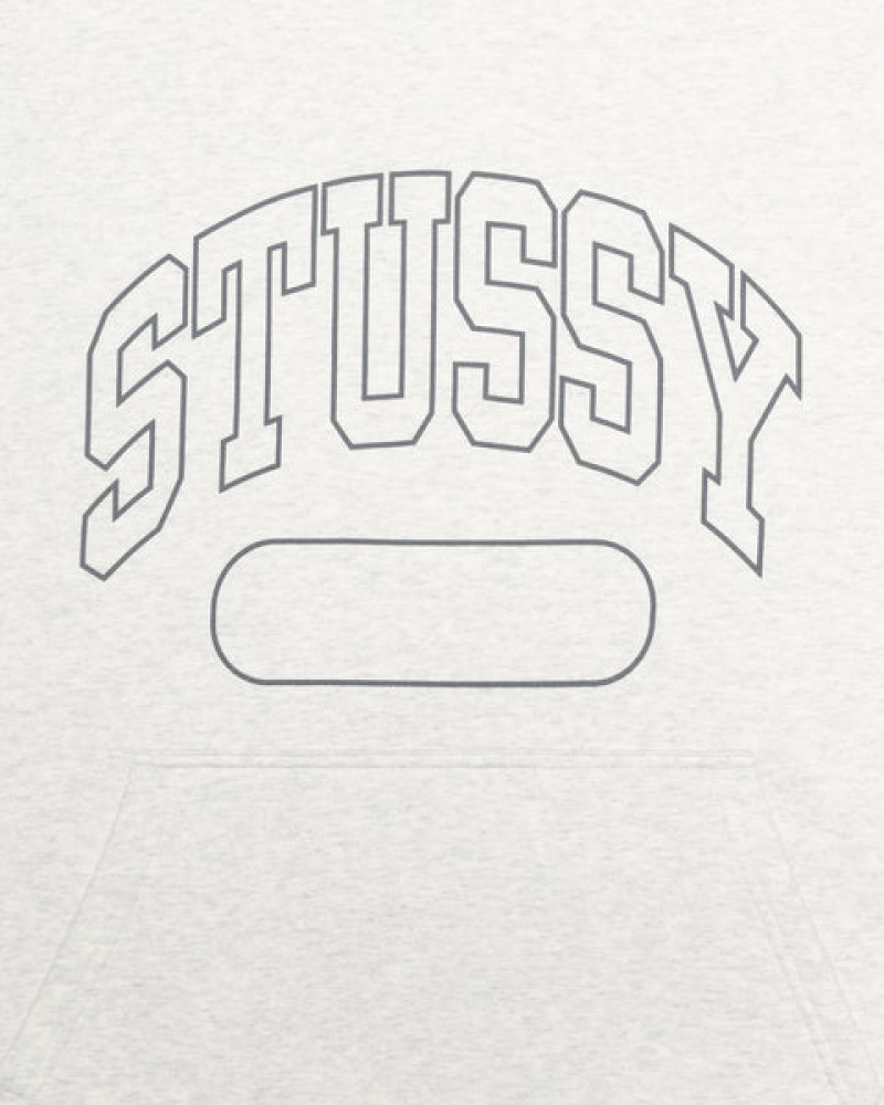 Stussy Ss Boxy Cropped Hoodie Kadın Gri Türkiye | YFZ-8293